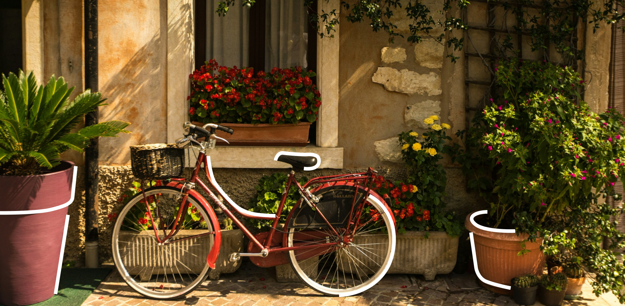 Штраф за неухоженный участок. Что грозит собственнику